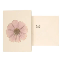 Kaart met envelop, cosmos