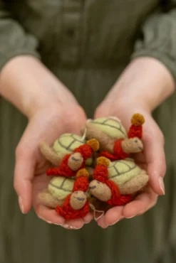 Kersthanger, vilt, Zoë de schildpad, WWF