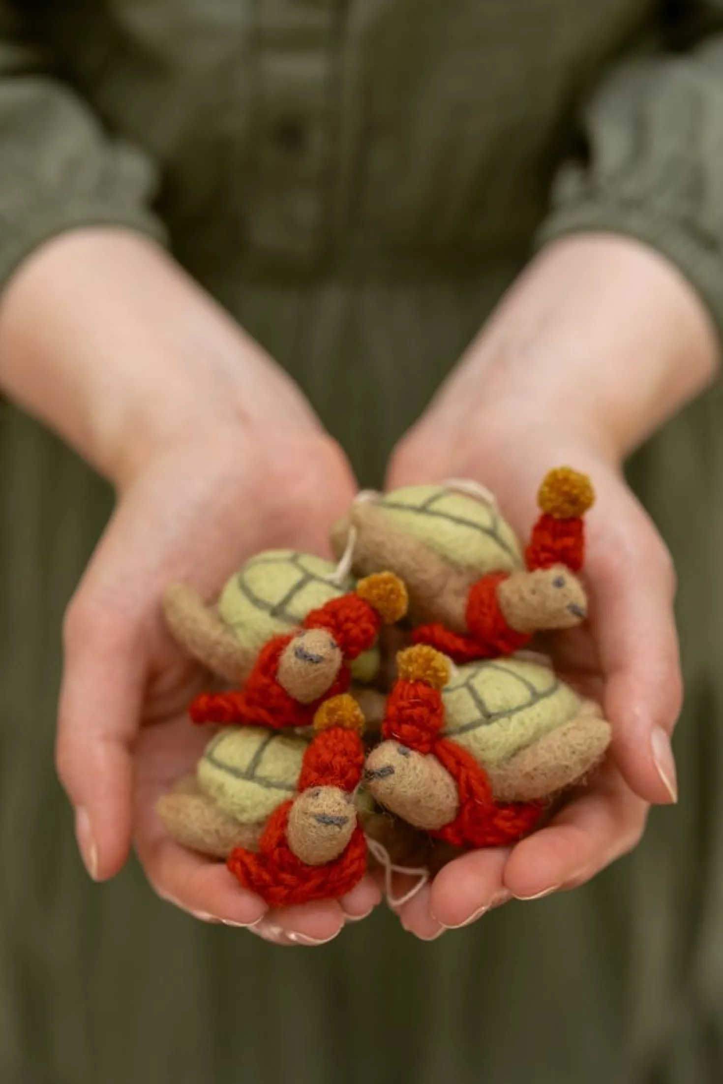Kersthanger, vilt, Zoë de schildpad, WWF