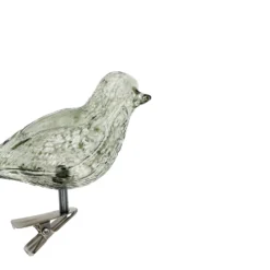 Knijper vogel, glas, groen