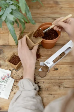 Kokospotgrond