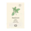 Kruidenzaden, biologisch, basilicum, 0.5 g