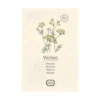 Kruidenzaden, biologisch, venkel, 0.5 g