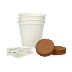 Kweekset theekruiden, biologisch, set van 3 potjes