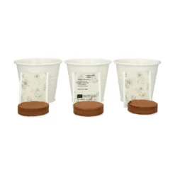 Kweekset theekruiden, biologisch, set van 3 potjes