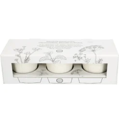 Kweekset theekruiden, biologisch, set van 3 potjes