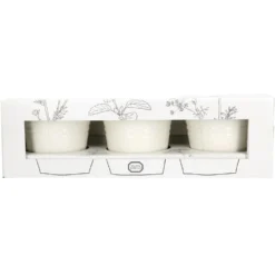Kweekset theekruiden, biologisch, set van 3 potjes