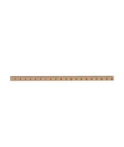 Meetlat, 20 cm