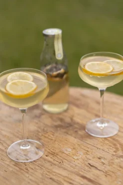 Mix voor Limoncello spritz, biologisch, 8,7 gram