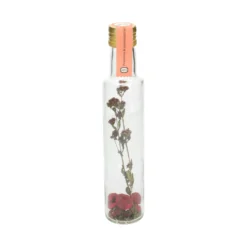 Mix voor vinaigrette, framboos en moestuinkruiden