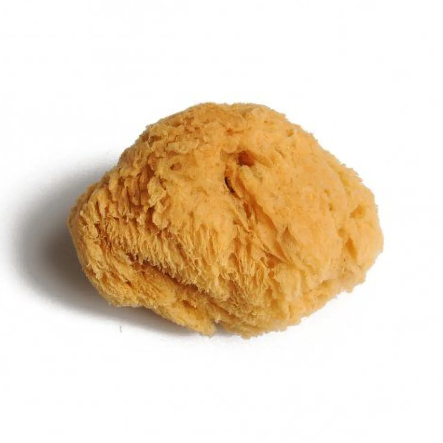 Natuurspons