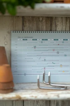 Oogstkalender, Dille & Kamille