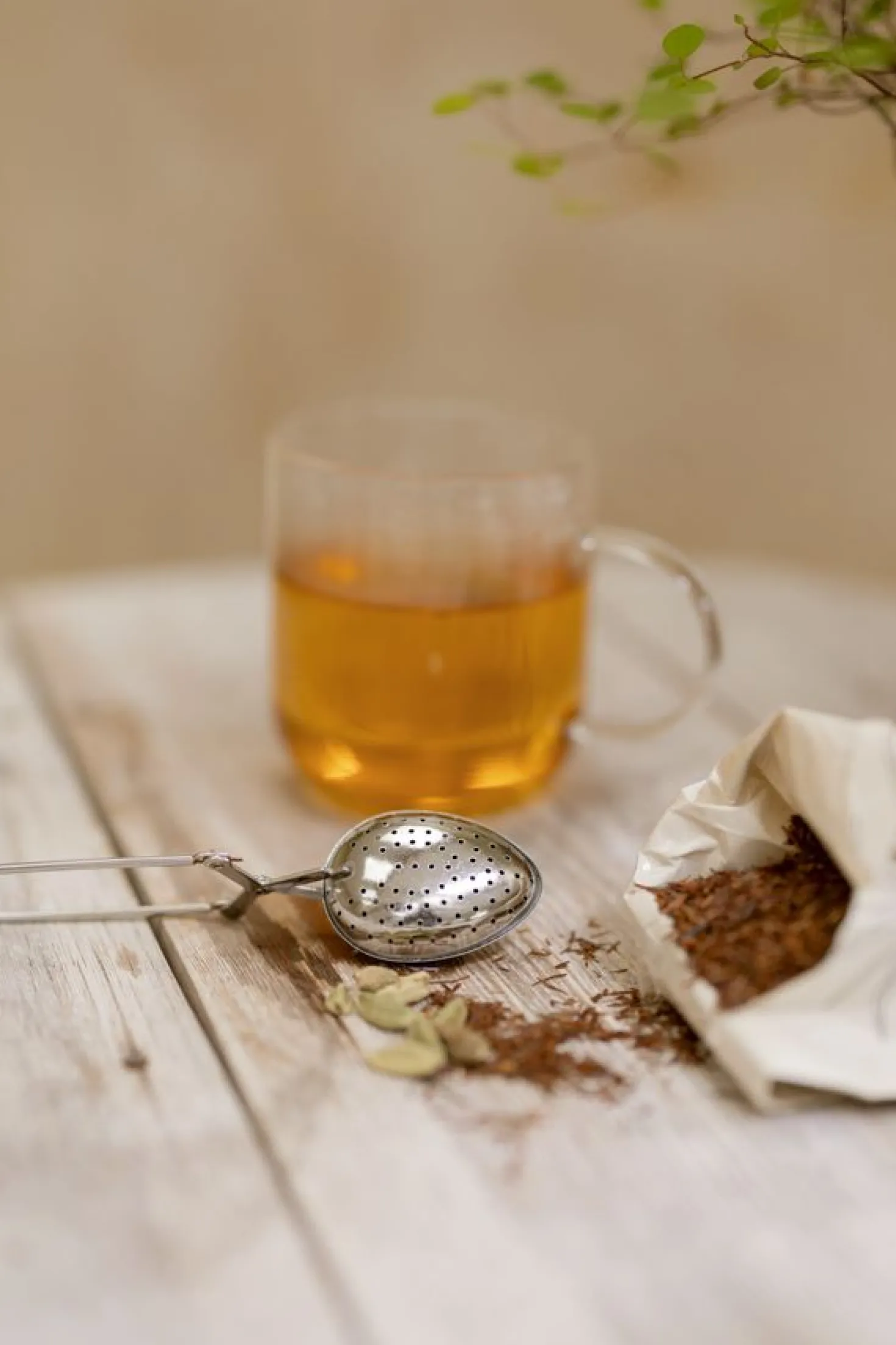 Pure Rooibos, biologisch, 75 g