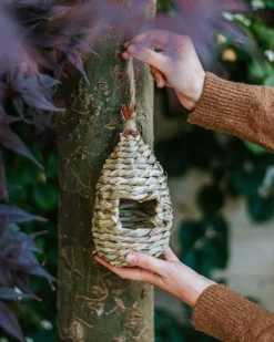 Schuilplaats voor vogels