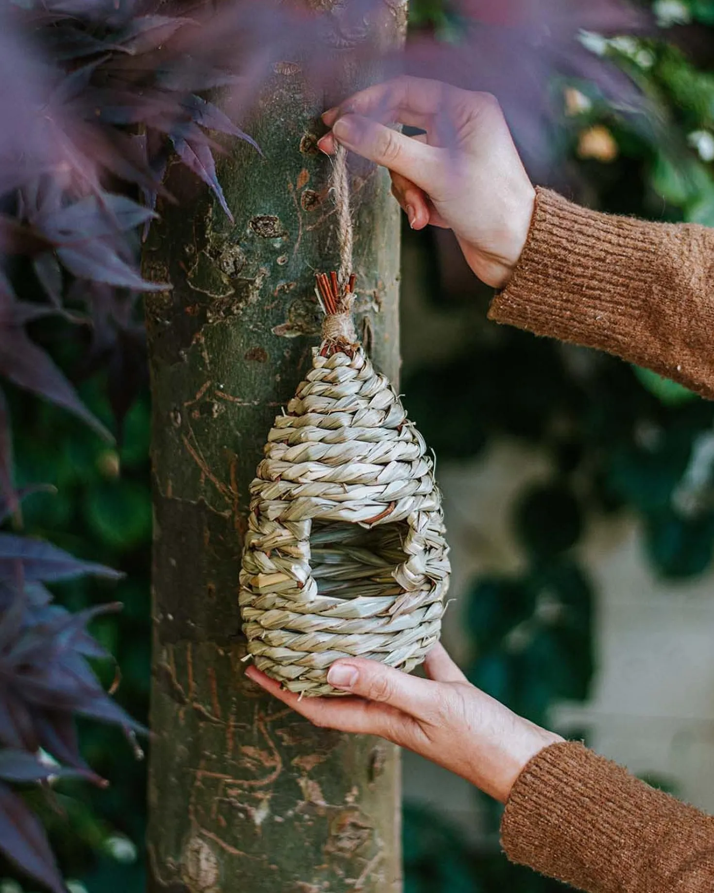 Schuilplaats voor vogels