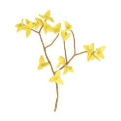 Tak forsythia, vilt, geel, 40 cm