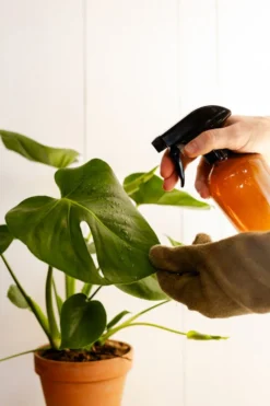 Vloeibare bladreiniger, 200 ml