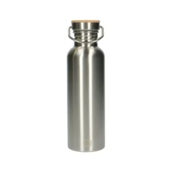 Waterfles, rvs, 750 ml